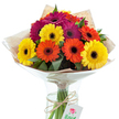 A jubilant bouquet of Gerbera daisies, crafted with the distinctive touch of a Sydenham Hill florist, commands attention against a pristine white backdrop. The arrangement spills over with rich color-warm yellows, spicy oranges, and passionate magenta flowers, each daisy displaying a bold, dark center ringed by velvety petals that catch the light. Lively green leaves woven throughout offer contrast and structure, reminiscent of the lush gardens found along Sydenham Hill. Enfolded in tiers of natural brown kraft paper and shiny cellophane, the bouquet conveys both care and celebration, its cone-shaped wrap mirrored by the gentle hourglass curve of the clear glass vase. Crystal water gives the stems crisp definition, evoking freshness and longevity. Around the stems, a slender twine bow holds a small, subtly branded tag-its illustration and lettering suggesting both artistry and a personal touch. The overall impression is one of abundance and joy, a composition equally suited to welcoming guests into a Lawrie Park Road home or marking special moments in the heart of the community. This bouquet radiates happiness, embodying the spirit of Sydenham Hill's friendly flower scene and ensuring every gesture of giving feels truly memorable.
